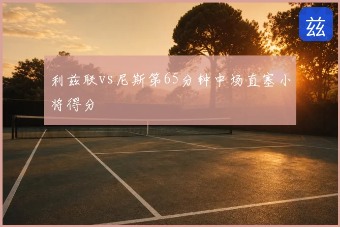 利兹联vs尼斯第65分钟中场直塞小将得分